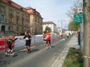 Schweinfurter Stadtlauf 2013